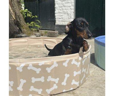 Piscina Pieghevole per Cani Ossa Beige