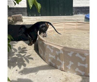 Piscina Pieghevole per Cani Ossa Beige
