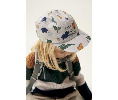 Gorra con Visera Rory Dinosaurs Mist Personalizable
