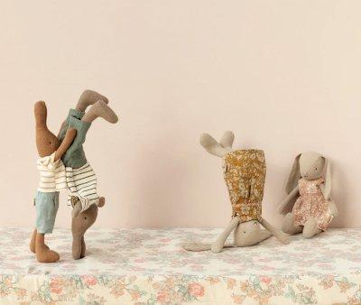 Rabbit con Camisa a Rayas y Pantaln Corto T.1