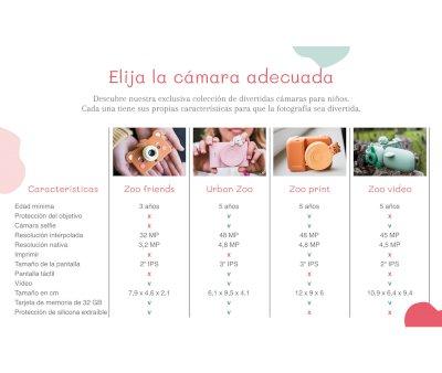 Conjunto de 3 rolos de papel Zoo