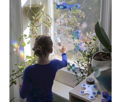 Pack Window 24 Pieces
