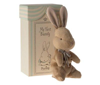 Meu primeiro Bunny Brown