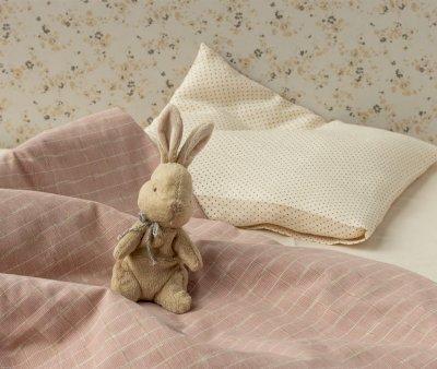 Meu primeiro Bunny Brown