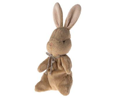 Meu primeiro Bunny Brown