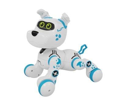 Bobby le Chien Robot