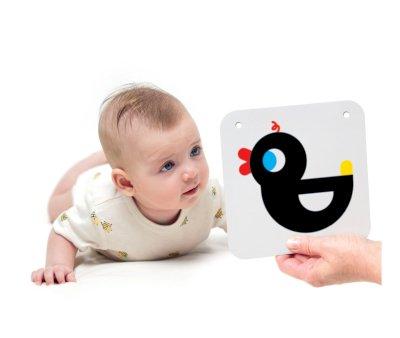 Cartes de beb de alto contraste