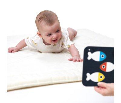 Cartes de beb de alto contraste