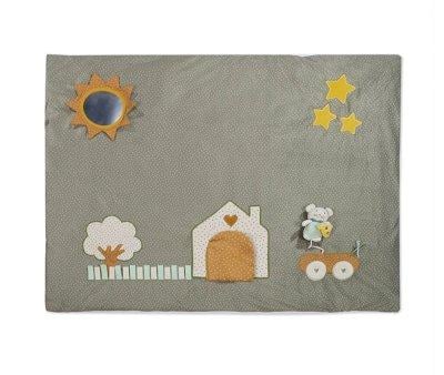 Activity Blanket Poppy