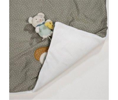 Activity Blanket Poppy