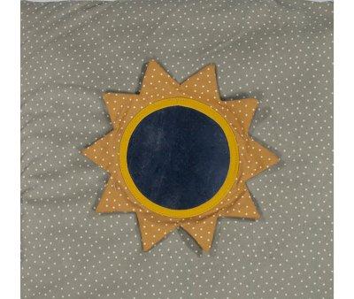 Activity Blanket Poppy