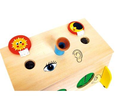 Caja de los Sentidos