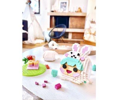 Mini Bricks Pascale 851 Pieces