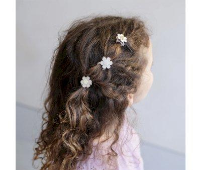 6 Mini Coleteros Daisy