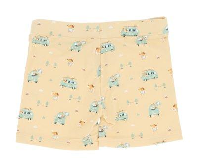 Baador Short Surf Van