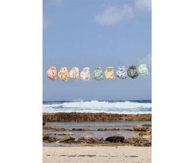 Maillot de Bain Couche Surfboards