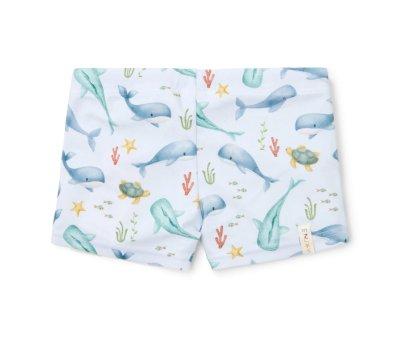 Baador Bxer Ocean Sea Life Multicolor