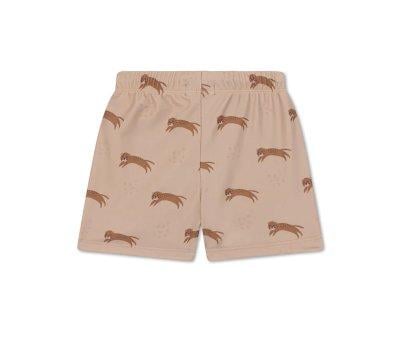 Baador Short Roamer
