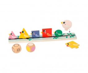 Classification des formes, tailles et couleurs des oiseaux