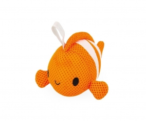 ponge marine poissons