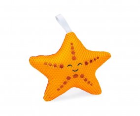 Esponja Marinha Estrela