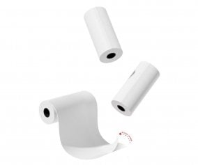 Conjunto de 3 rolos de papel Stick Zoo
