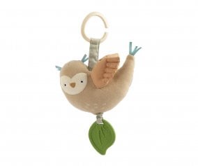 Sensory Activities Blinky The Owl