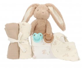 Pack Presente Personalizvel para Recm-nascidos Baby Bunny 